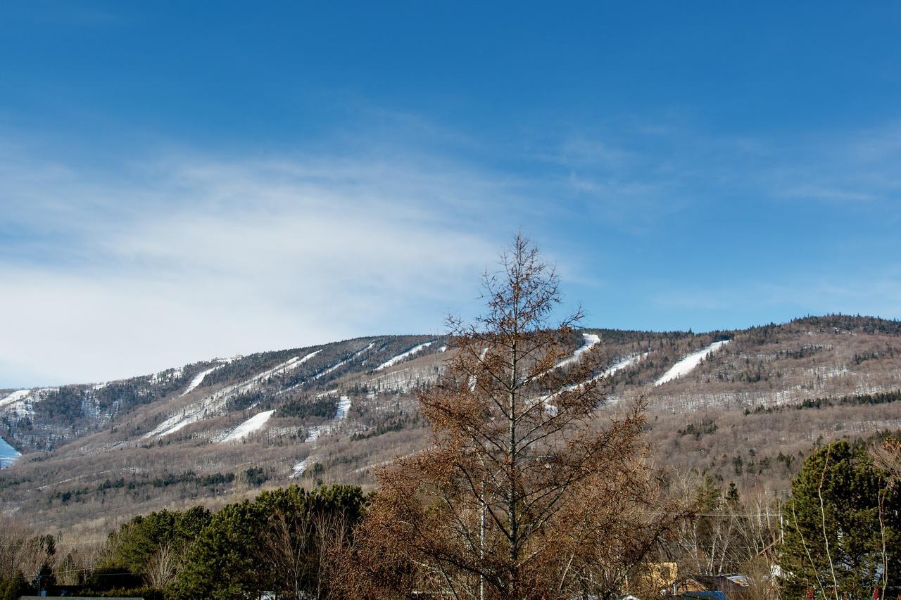 Le Vallon Saint-Ferreol-les-Neiges Buitenkant foto